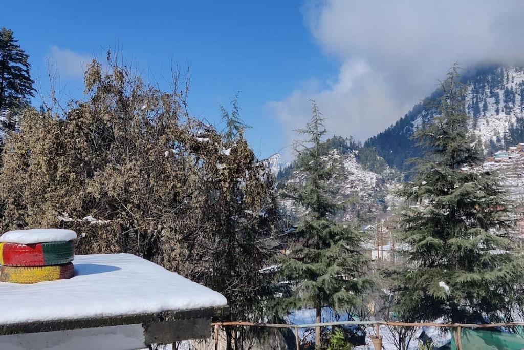 Hotel Jibhi Highness River Side Esterno foto